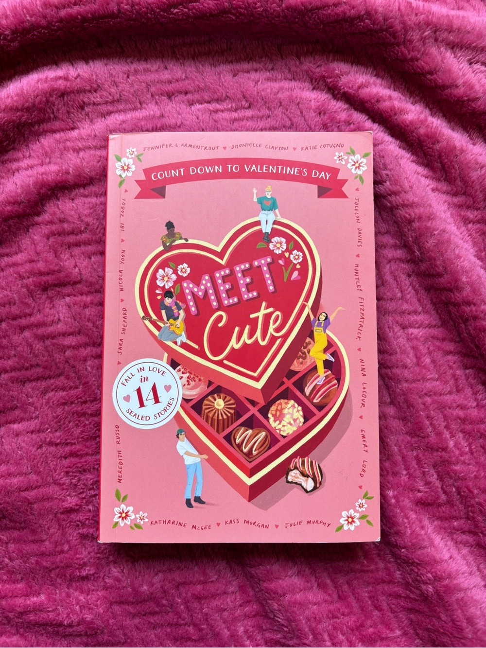 Meet Cute Valentine’s Day Countdown Book
